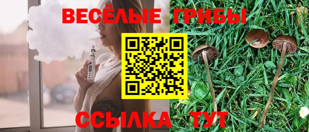 Галлюциногенные грибы мицелий  Вход с VPN  Муравленко  Галлюциногенные грибы Psilocybe 